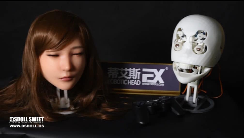 DS Doll Robotics Robotic Head