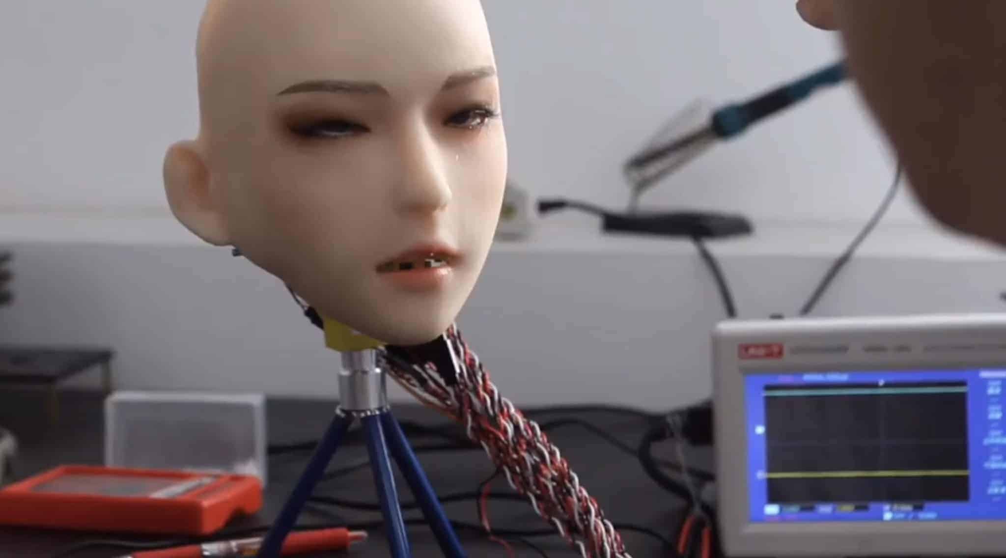 DS Doll Robotics Robotic Head