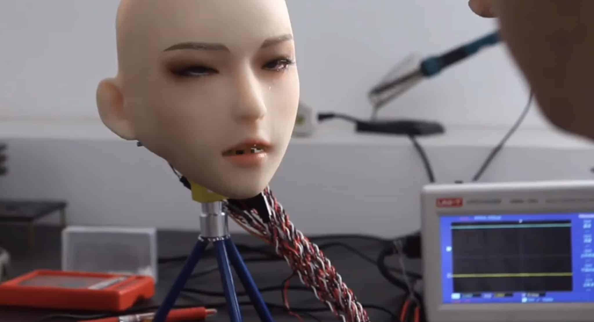 DS Doll Robotics Robotic Head