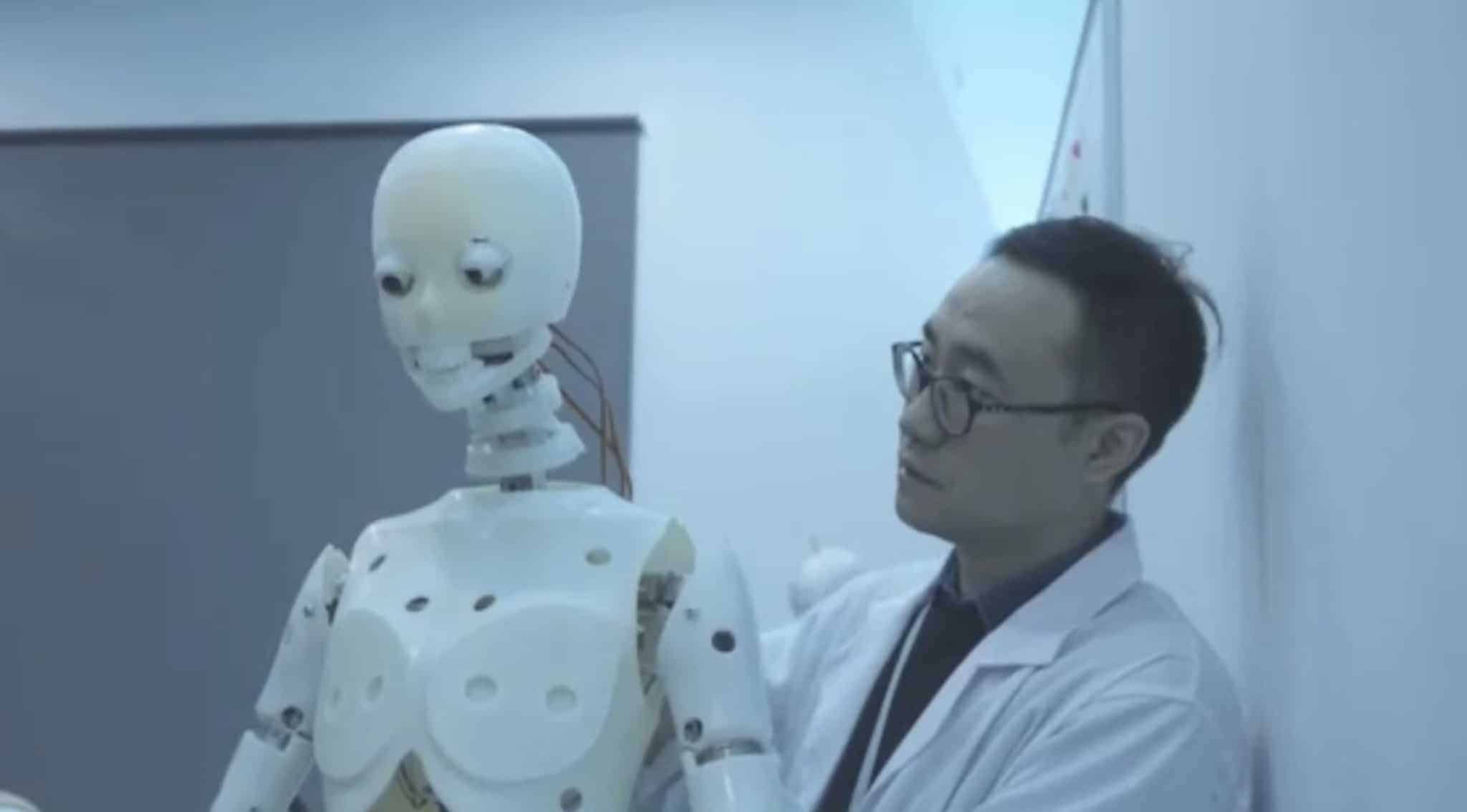 DS Doll Robotics Robotic Skeleton