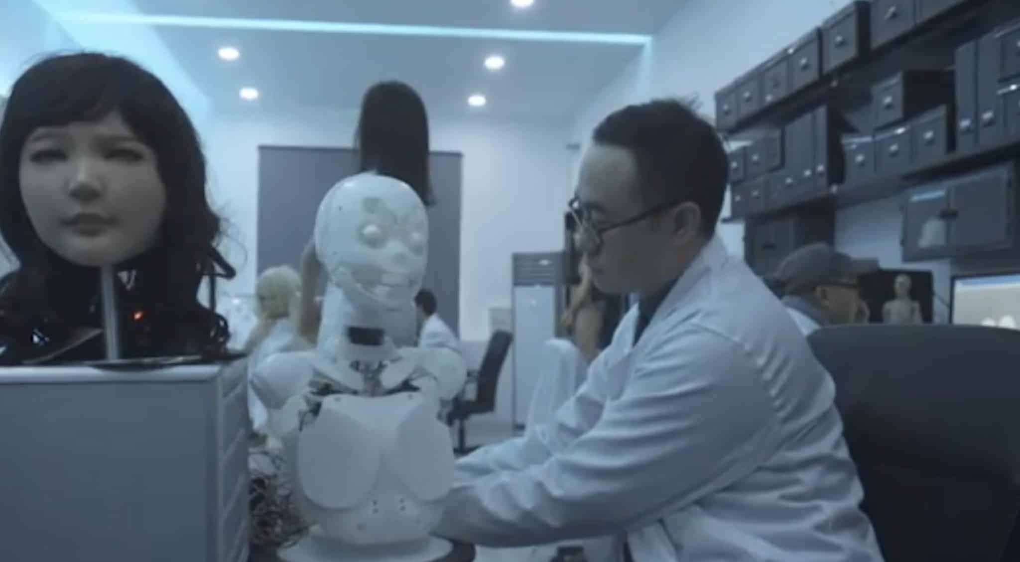 DS Doll Robotics Robotic Skeleton
