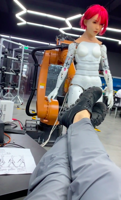 Walking Robots at EX Robot and DS Doll Robotics.